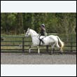 durdress22_0376
