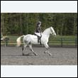 durdress22_0377