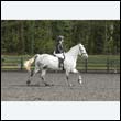 durdress22_0378