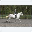 durdress22_0379