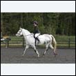 durdress22_0380