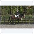 durdress22_0381