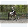 durdress22_0382