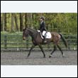 durdress22_0383
