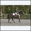 durdress22_0386