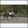 durdress22_0388