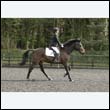 durdress22_0389