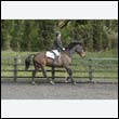 durdress22_0391