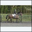 durdress22_0392