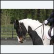 durdress22_0394