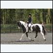durdress22_0397