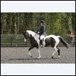 durdress22_0398