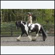 durdress22_0399