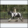 durdress22_0400