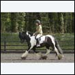 durdress22_0401