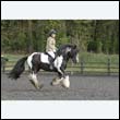 durdress22_0402