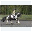 durdress22_0403