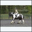 durdress22_0406