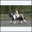 durdress22_0407