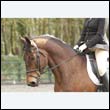 durdress22_0408