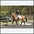 durdress22_0411