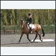 durdress22_0412