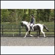 durdress22_0414