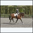 durdress22_0417