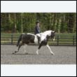 durdress22_0420