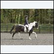 durdress22_0421