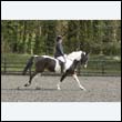 durdress22_0422