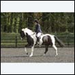 durdress22_0423