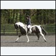 durdress22_0424