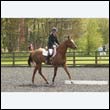 durdress22_0425