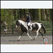 durdress22_0426