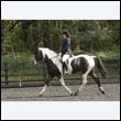 durdress22_0427