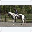 durdress22_0428