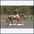 durdress22_0429