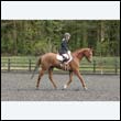durdress22_0431