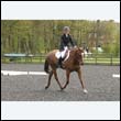 durdress22_0433
