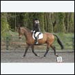 durdress22_0436