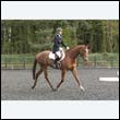 durdress22_0437