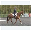 durdress22_0438