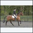 durdress22_0439