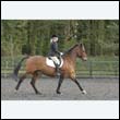durdress22_0440