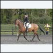 durdress22_0441