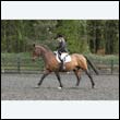 durdress22_0442
