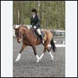 durdress22_0446