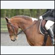 durdress22_0447