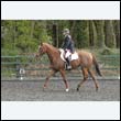 durdress22_0448